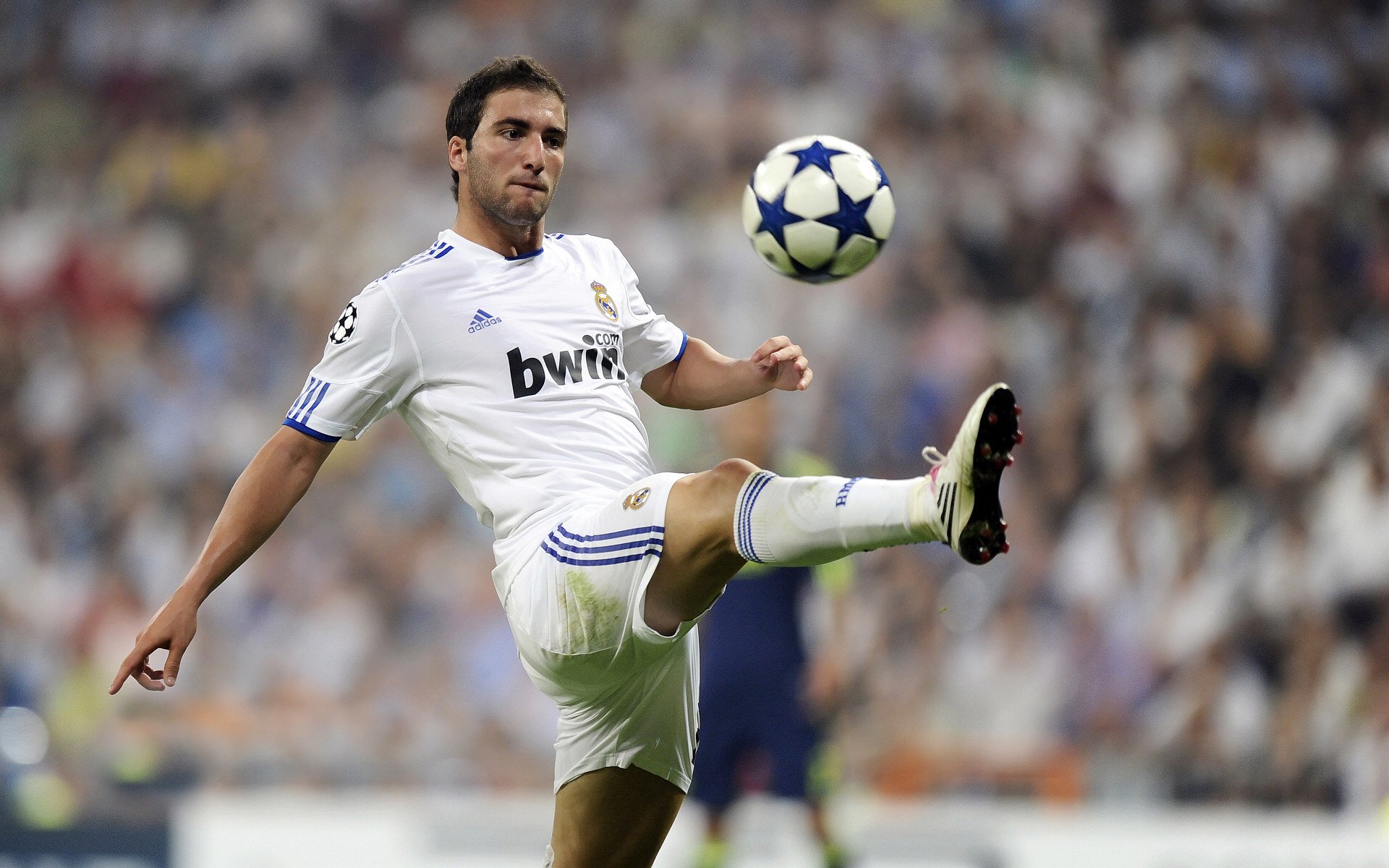 开云注册网址-“足球产业链融资不断扩大，行业充满潜力”，足球产业相关上市公司